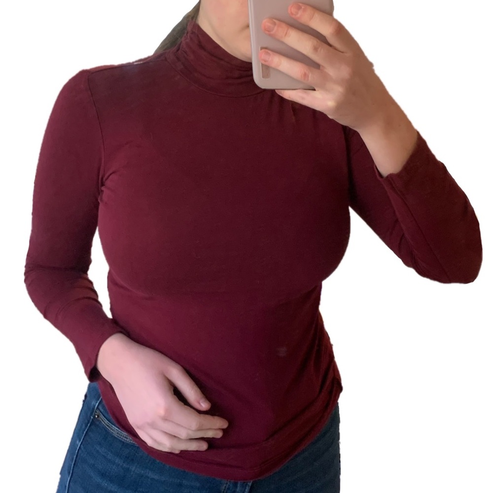 Ambiance Fitted Maroon Turtleneck